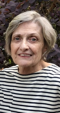 Judith D'Angelo